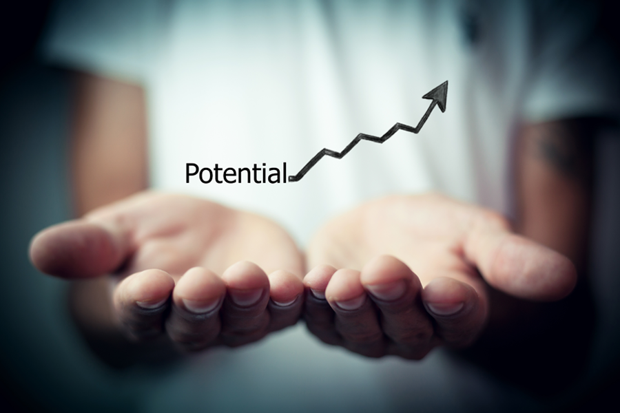 Coaching and Mentoring