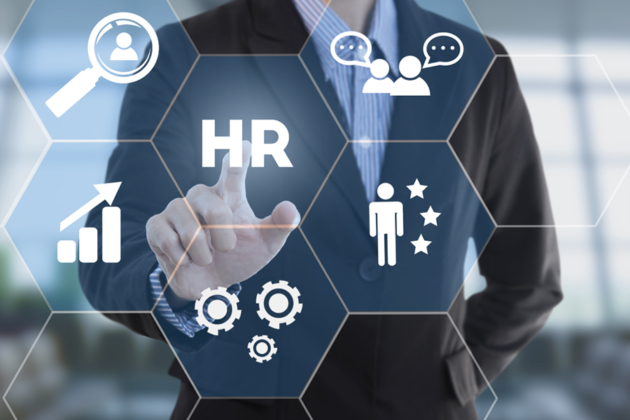 HR Consultant
