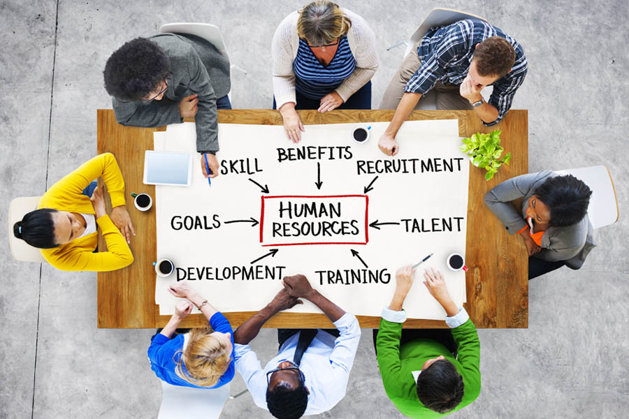 Navigating the Fundamentals of Human Resources
