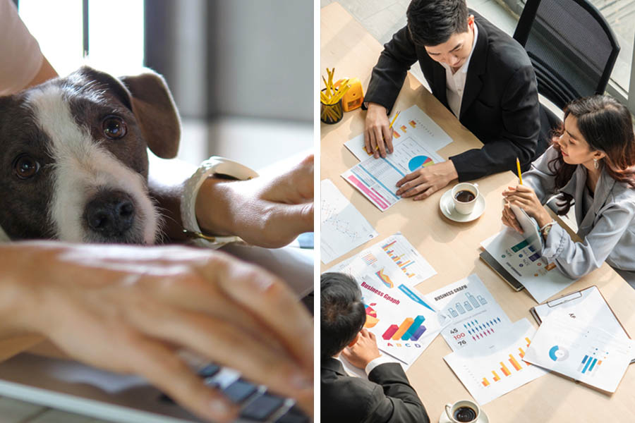 The Remote-Work Debate